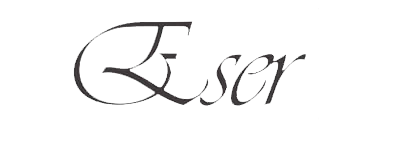 Eser Ayakkabı